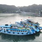 tàu thăm quan vịnh Lan Hạ, Cát bà