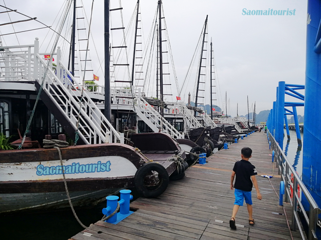 thuê tàu thăm vịnh hạ long giá rẻ