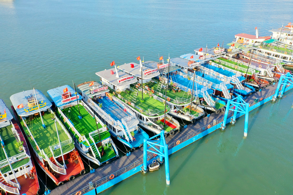 tàu thăm vịnh hạ long giá rẻ