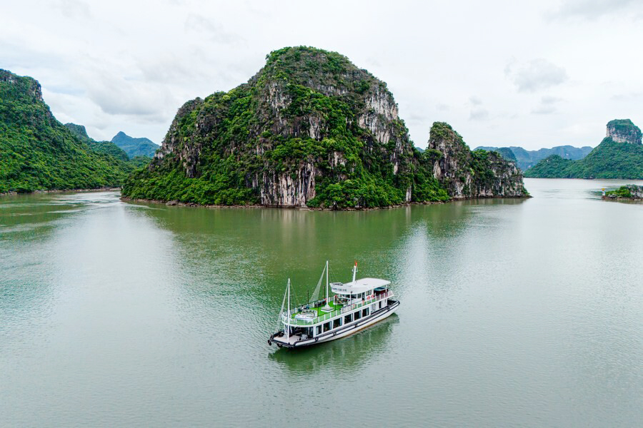 du thuyền 5 sao, 48 chỗ Sao Mai - Dragon Cruise
