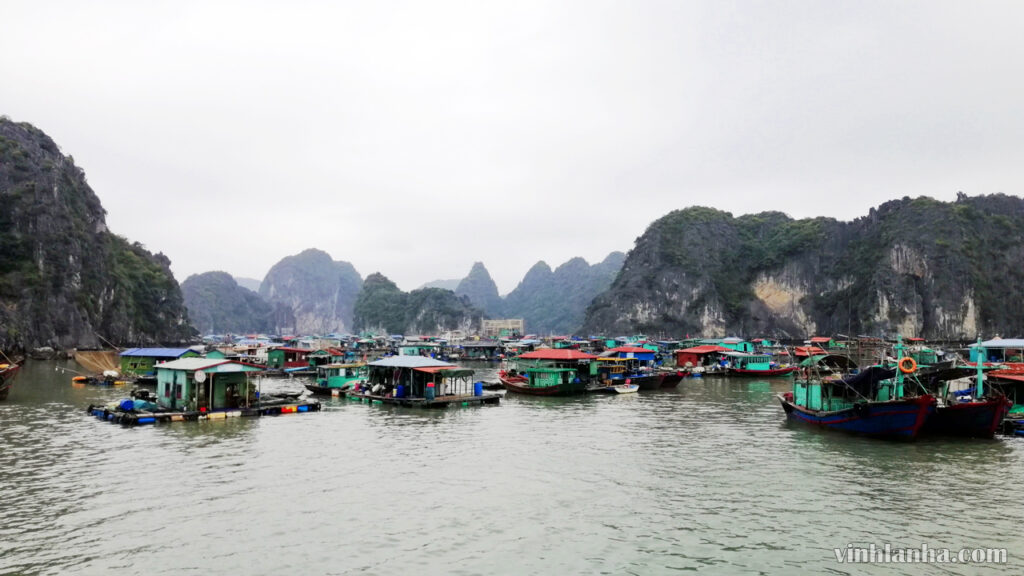tour thăm vịnh lan hạ 1 ngày tour thăm vịnh lan hạ 1 ngày